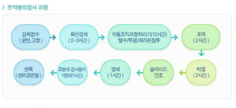 조직병리검사 공정도 — 검체접수부터 판독까지 아홉 단계 중 자동조직과정처리기 한 단계에만 15시간이 걸린다.